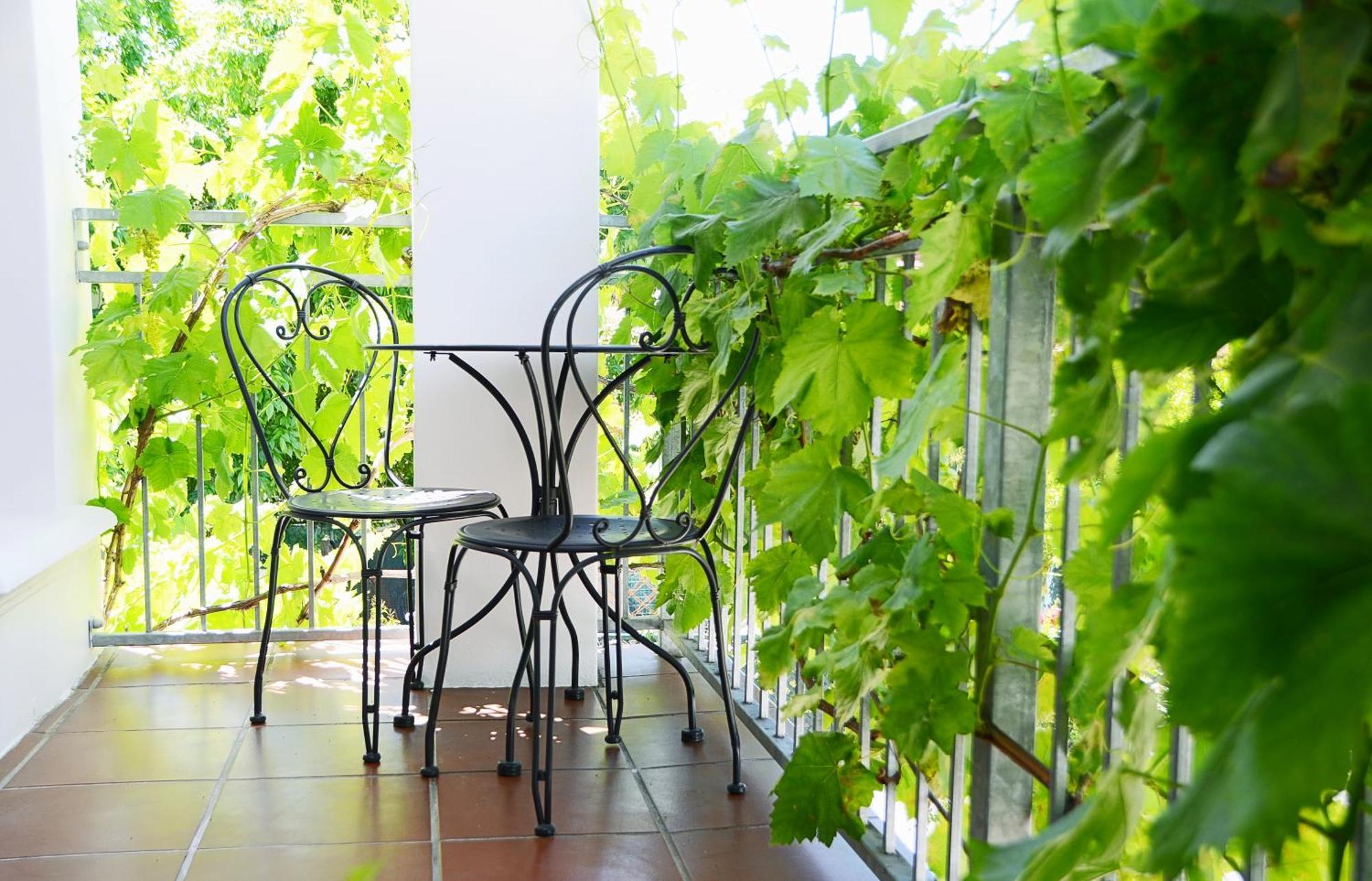 Penelope'S Stellenbosch Bed & Breakfast Bagian luar foto