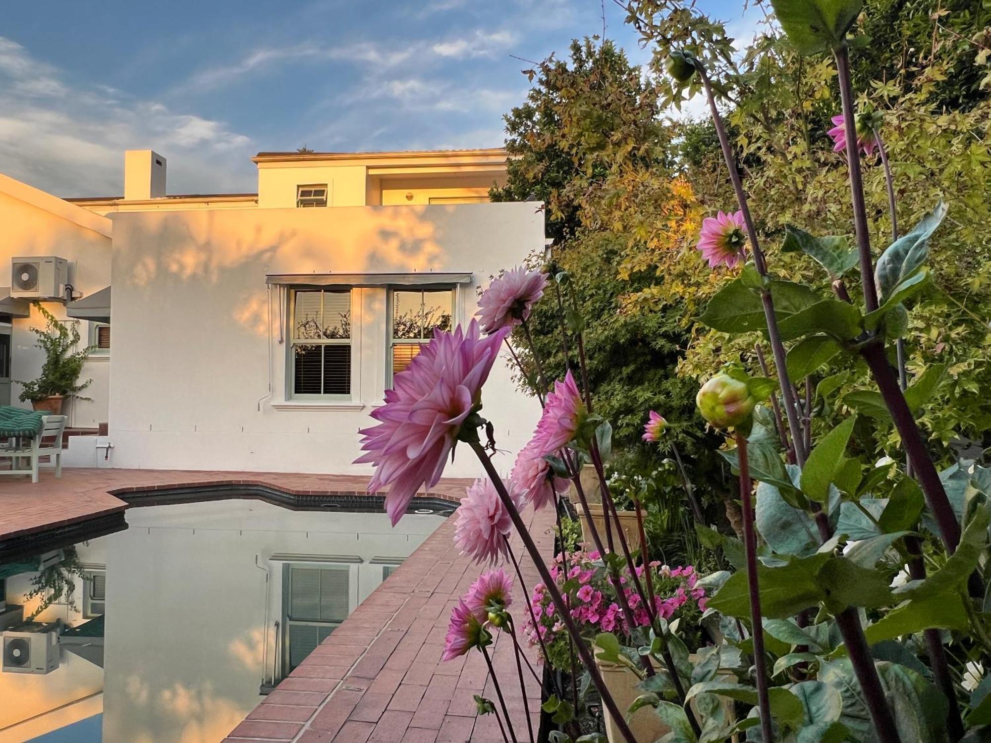 Penelope'S Stellenbosch Bed & Breakfast Bagian luar foto