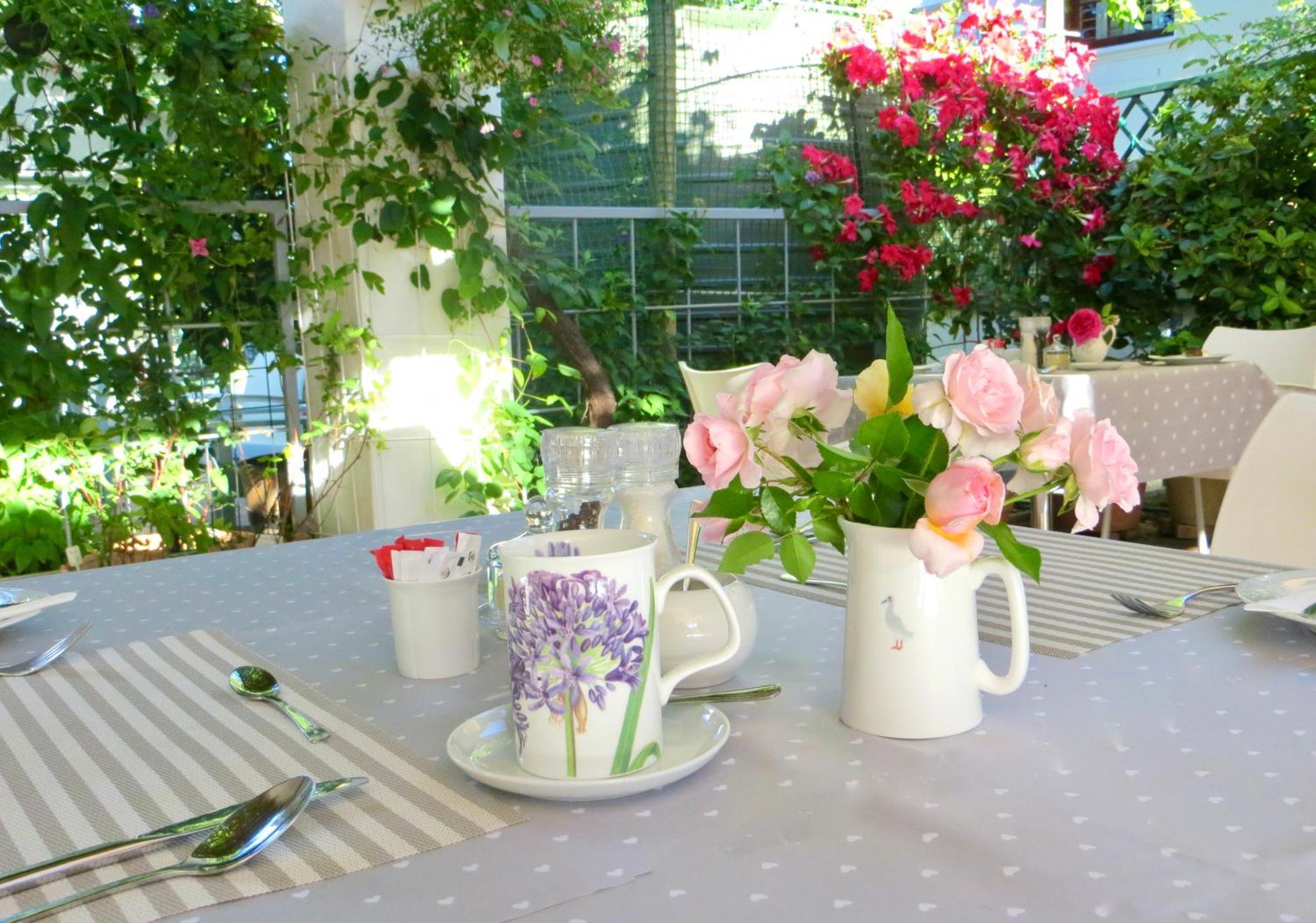 Penelope'S Stellenbosch Bed & Breakfast Bagian luar foto